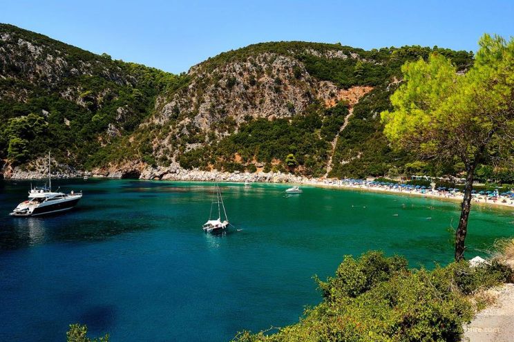Limin Skopélou Marina Marina