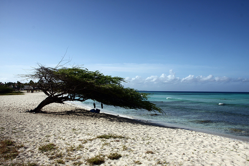 aruba-res