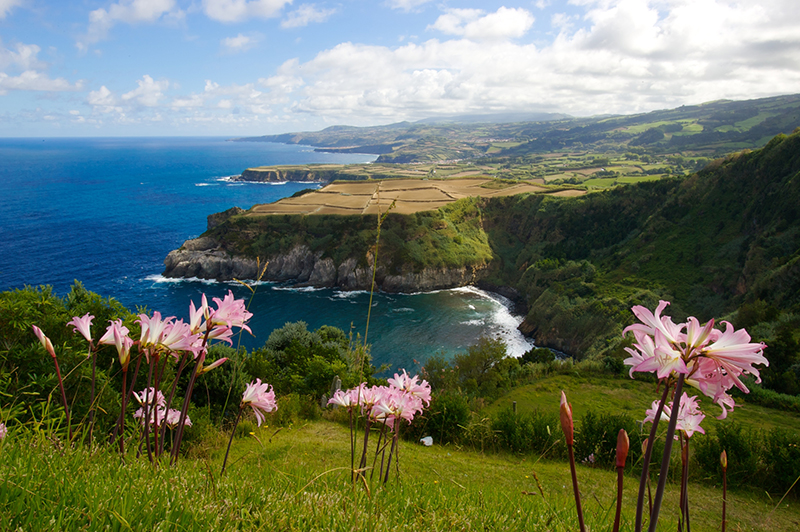 Sao Miguel Portugal res