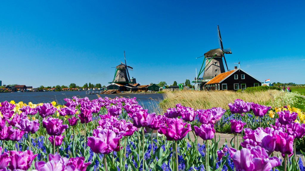 Windmill in Holland