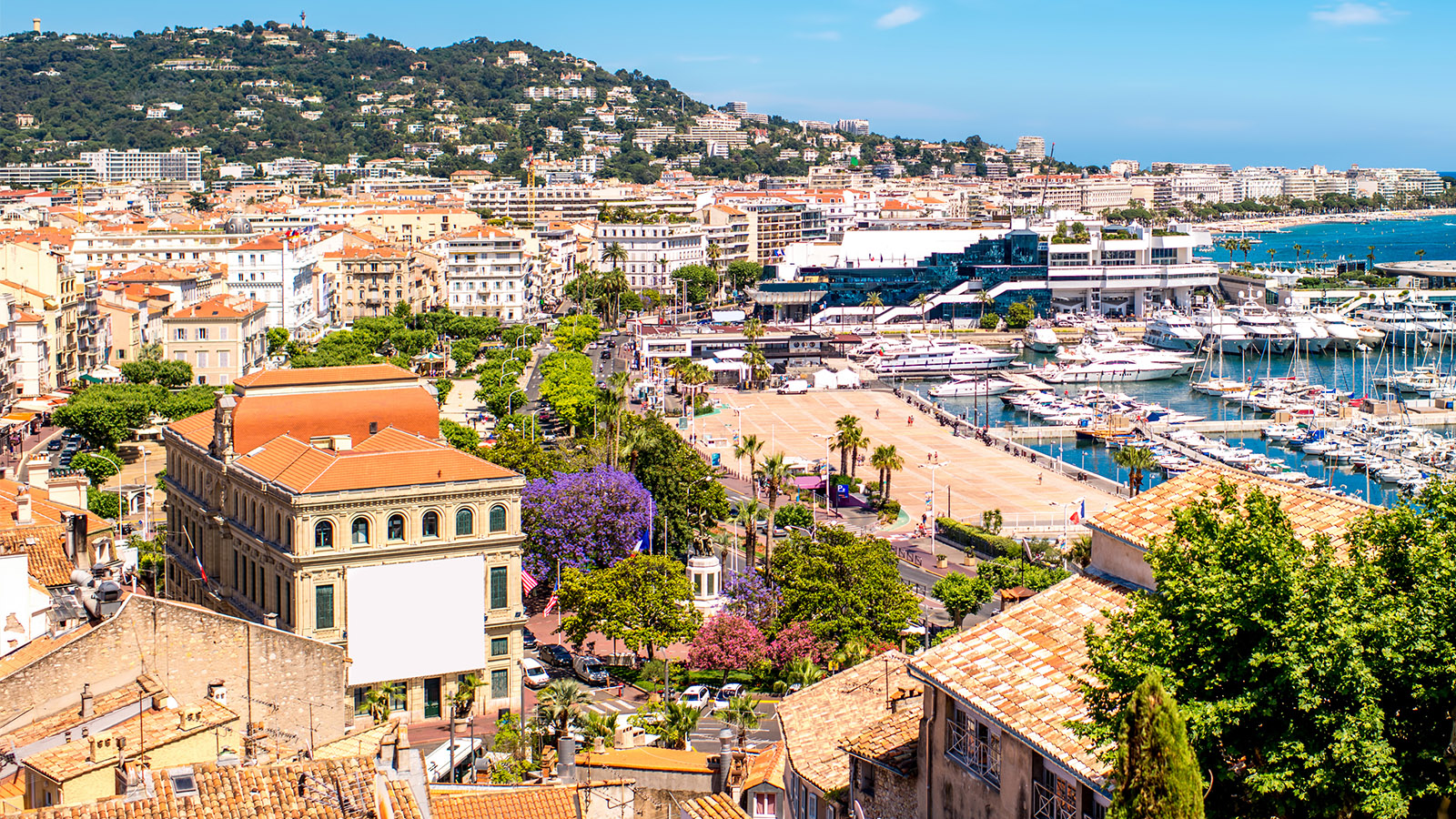 cannes marina