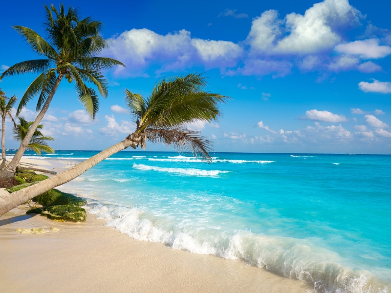 Playa del Carmen is one of the most beautiful white-sand beaches in the world