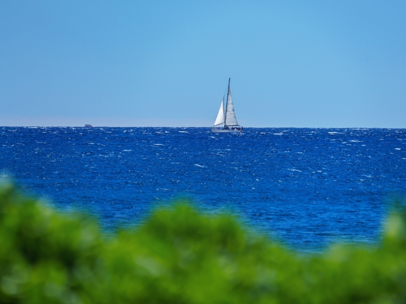 sail from California to Hawaii