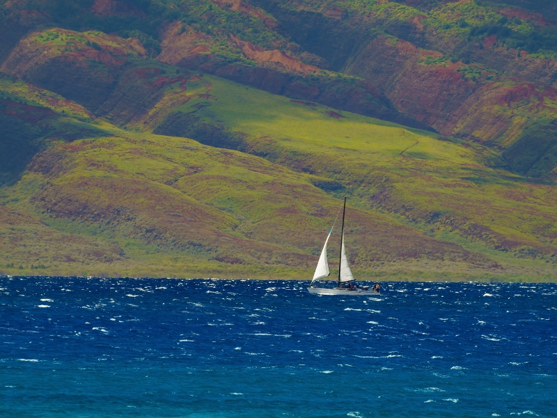 sailing the Hawaii islands