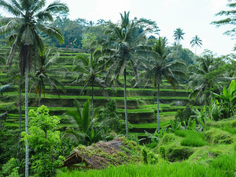 Nusa Lembongan Bali