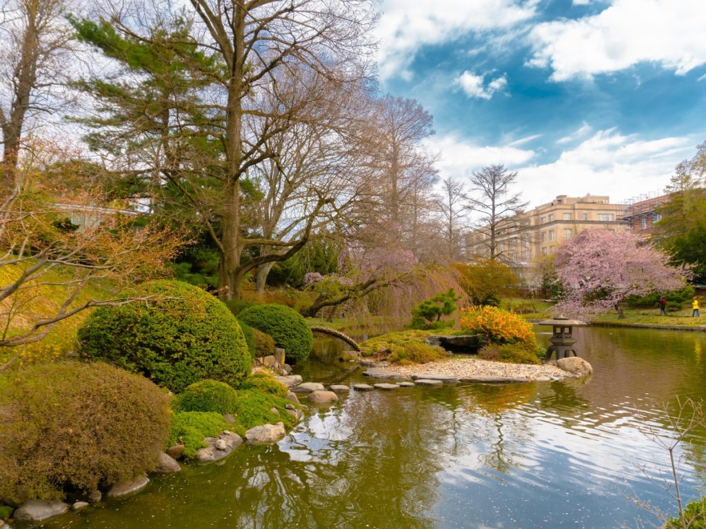 Brooklyn Botanic Garden