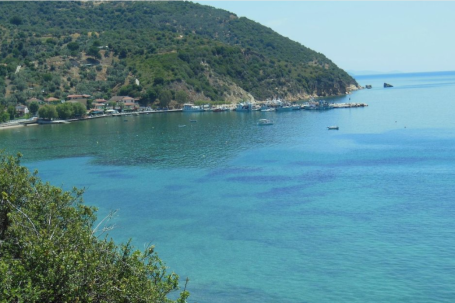 Platania Marina Marina