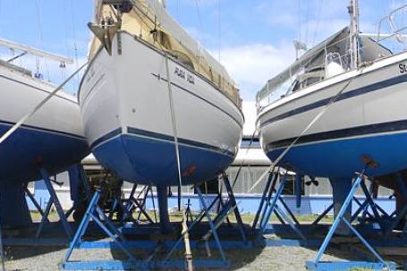 Spice Island Marina Marina