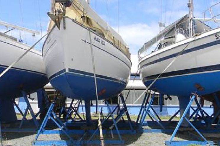 Spice Island Marina Marina