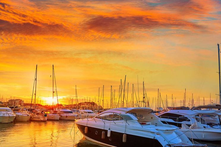 Flamingo Marina Marina