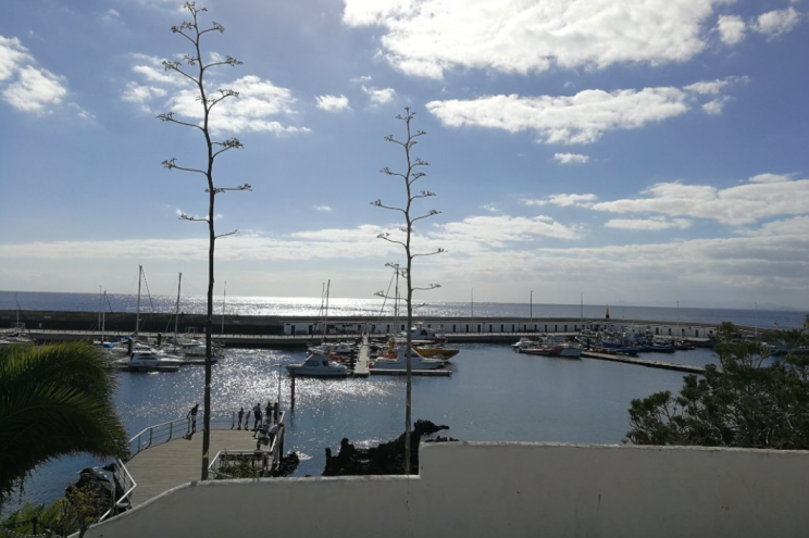 Puerto del Carmen Marina